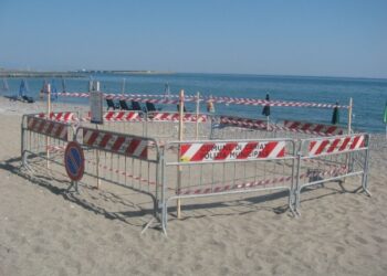 Caretta caretta a Cariati, le uova ci sono