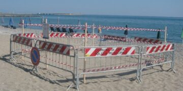 Caretta caretta a Cariati, le uova ci sono