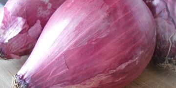 Cipolla Rossa di Tropea: il grave vulnus della contraffazione con doppio furto di valore e identità