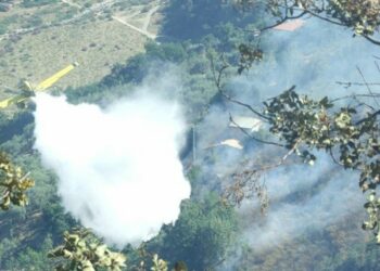 Incendi, all’opera tre mezzi aerei a Rossano