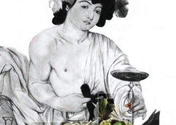 Pubblicato il libro sui frutti in pericolo di estinzione in Calabria