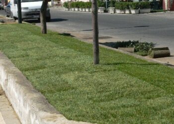 Iniziativa ‘Adotta un angolo di verde di Ciro’ Marina’