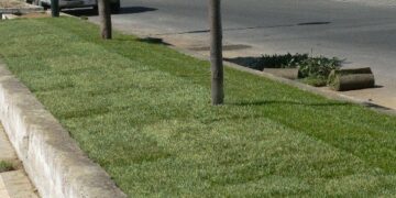 Iniziativa ‘Adotta un angolo di verde di Ciro’ Marina’