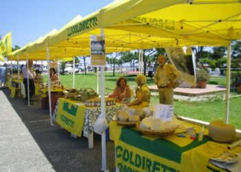 Cirò Marina apre ai prodotti tipici locali e alle produzioni agricole