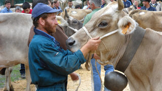 Rinnovo organi associazione regionale allevatori