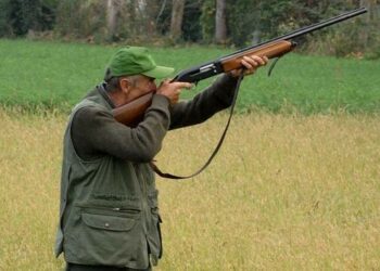 Caccia, approvato il calendario venatorio 2012-2013