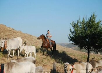 Festa della Transumanza, indietro nel tempo di oltre 400 anni