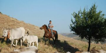 Festa della Transumanza, indietro nel tempo di oltre 400 anni