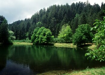 A Camigliatello la prima Borsa del Turismo Montano