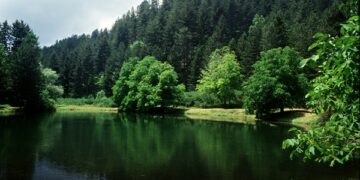 A Camigliatello la prima Borsa del Turismo Montano
