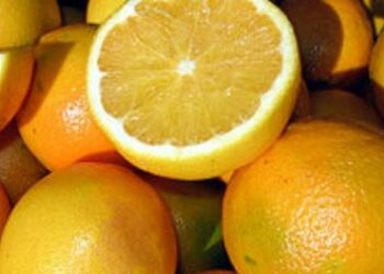 La retorica della Coca cola in una pubblicità senza cuore