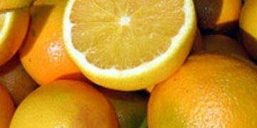 La retorica della Coca cola in una pubblicità senza cuore