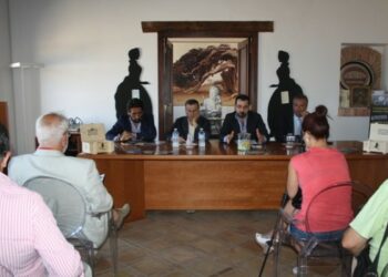 Boom di richieste navetta per l’aeroporto di Lamezia