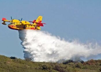 Incendio Parco Pignera, incapacità di gestire beni comunali