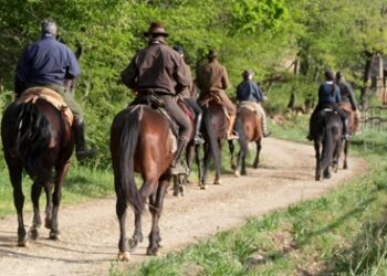 Prima escursione a cavallo in Pineta