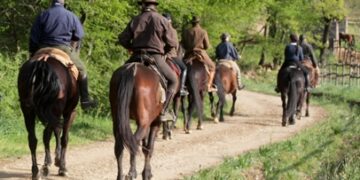 Prima escursione a cavallo in Pineta