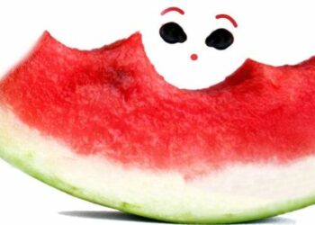 Decalogo alimentazione estate 2012