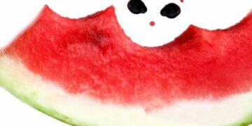 Decalogo alimentazione estate 2012