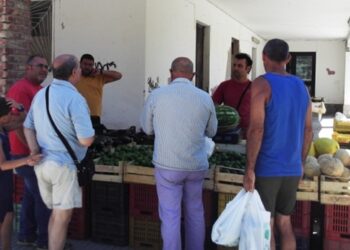 A Torre Melissa apre il mercato contadino