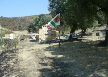 Gentile vince la gara di tiro a Palla al poligono “Rosa Renda”