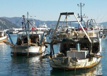 Il mare e la pesca come grande risorsa dell’economia regionale