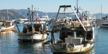 Il mare e la pesca come grande risorsa dell’economia regionale