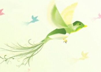 Premi Oscar Green Calabria 2012 a Camigliatello