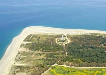 Sos pronto intervento per il mare, 300 chiamate in 10 giorni