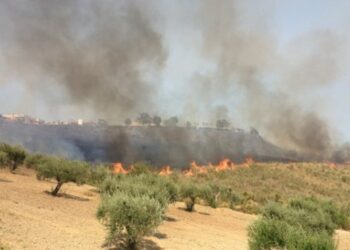 Incendi, evitato il peggio a Saracena