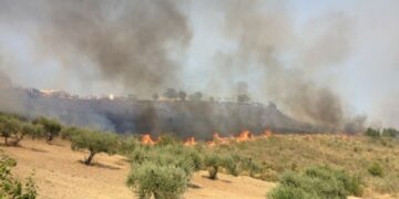 Incendi, evitato il peggio a Saracena
