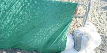 Caretta caretta, nido messo in sicurezza