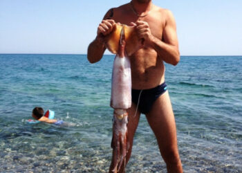 Pescato nel comune di Cirò un grosso Todano