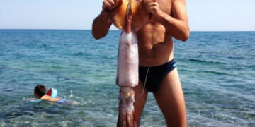 Pescato nel comune di Cirò un grosso Todano