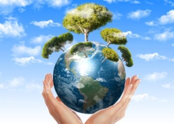 Seminario sul Monitoraggio nelle Valutazioni Ambientali