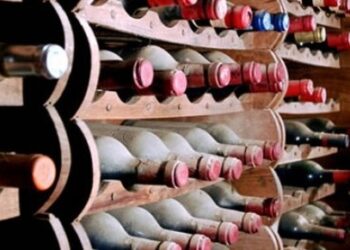 Enoteca regionale, il presidente del CDA sullo stato di avanzamento delle attività