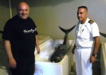 Mare sicuro: 9 persone salvate, sequestri e denunce