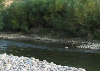 Amministrazione provinciale, messa in sicurezza dei fiumi Neto, Esaro e Tacina