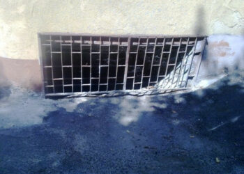 Ratti in giro per le strade a Cirò