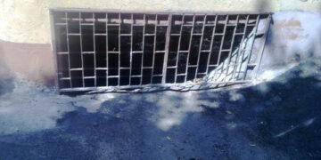 Ratti in giro per le strade a Cirò