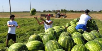 Immigrati, in arrivo una nuova sanatoria