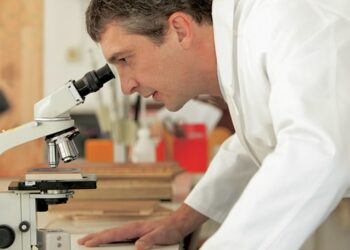 Concorso per 11 posti a tempo indeterminato presso l’Indire