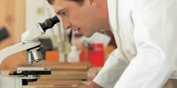 Concorso per 11 posti a tempo indeterminato presso l’Indire