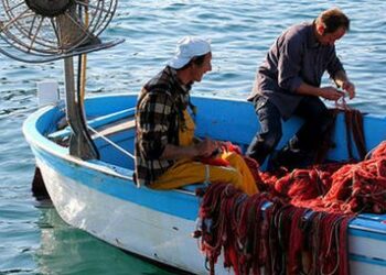 Gruppi di azione costiera opportunita’ di sviluppo della pesca calabrese