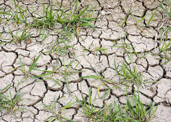 Siccità nel crotonese, un primo bilancio