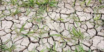 Siccità nel crotonese, un primo bilancio