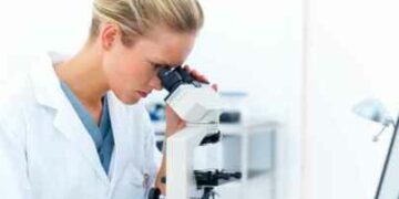 Concorso pubblico per 5 unità con assunzione a tempo indeterminato