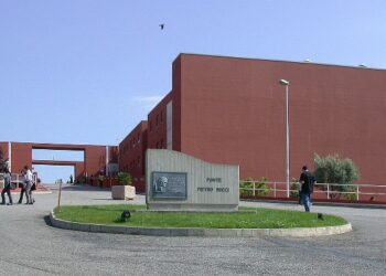 Unical al secondo posto tra i grandi atenei d’Italia