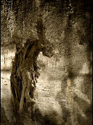 Mostra itinerante di Rosanna Papaianni