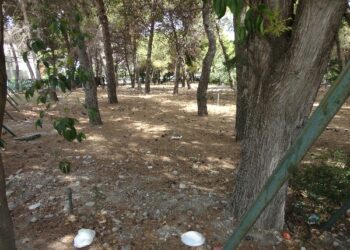 Parco dei Pini è in totale abbandono