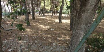 Parco dei Pini è in totale abbandono
